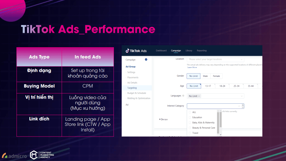 TikTok Ads_Performance