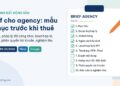 Brief agency marketing bất động sản: mẫu 10 mục từ mục tiêu, pháp lý dự án, lead hợp lệ, tracking đến phân quyền tài khoản và nghiệm thu